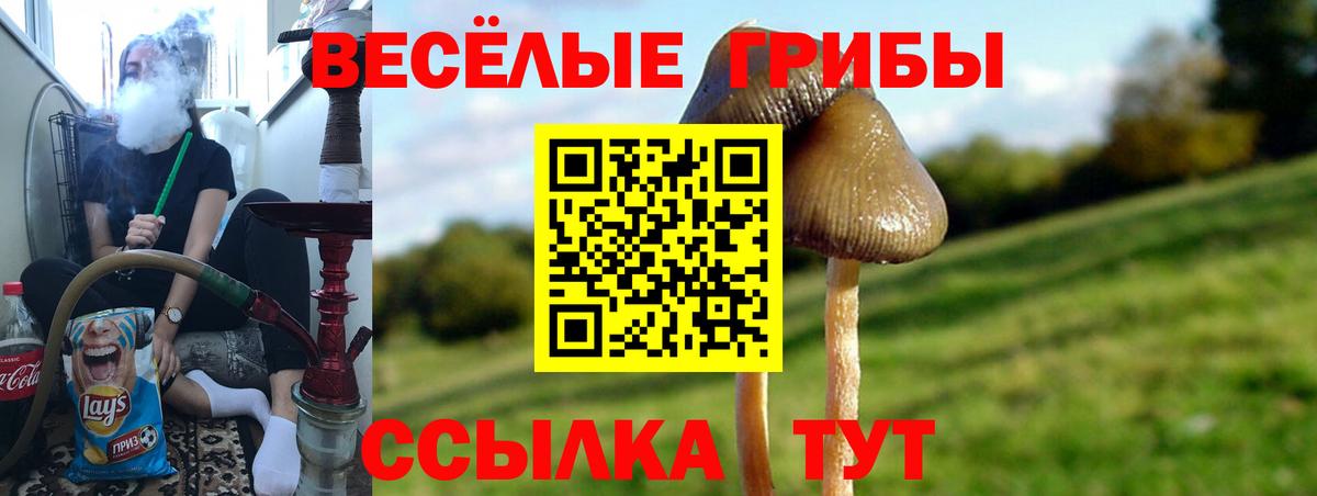 Галлюциногенные грибы мицелий  Вход с VPN  Спасск-Дальний  Галлюциногенные грибы прущие грибы 